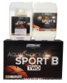 Berger AquaChoice Sport B Two лак для підлоги в спортзалі